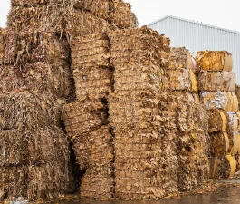 Reciclagem de Papel e Papelão